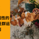 高转化、高活跃、高黏性的优质社群怎么打造？ 社群运营全周期实战指南